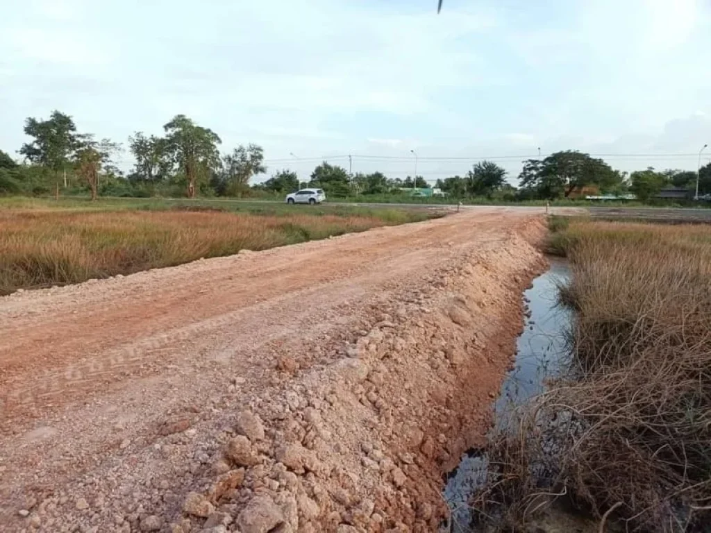 ด่วนที่ดินแปลงเล็ก ถูก ใกล้ถนนลาดยางหลัก 30 เมตร หนองแค สระบุรี