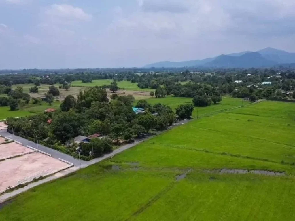 ที่ดินแบ่งขายพรหมณี เริ่มต้น 200 ตรว ถมแล้ว ใกล้แยกช้างและถเส้นสุวรรณศร 33 - 26 กม อเมืองนครนายก จนครนายก