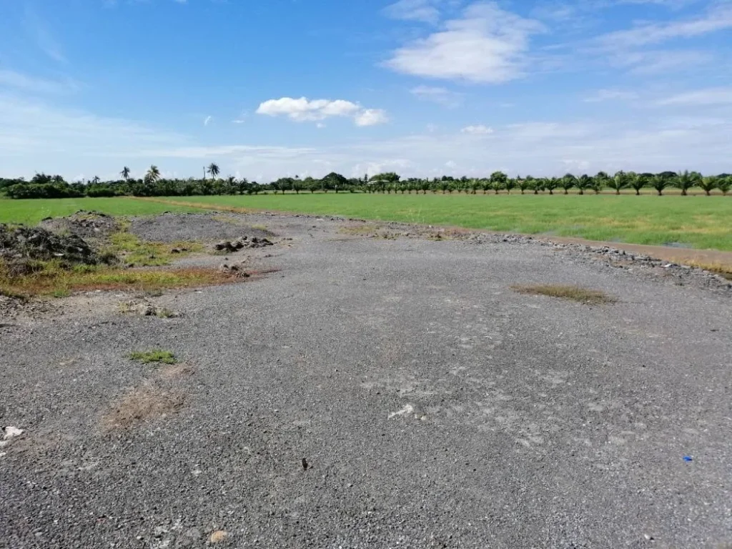 ขายที่ดินสวยทำเลดี ใกล้เซ็นทรัลเวสต์เกต เหมาะสำหรับทำหมู่บ้านจัดสรร เนื้อที่ 18 ไร่