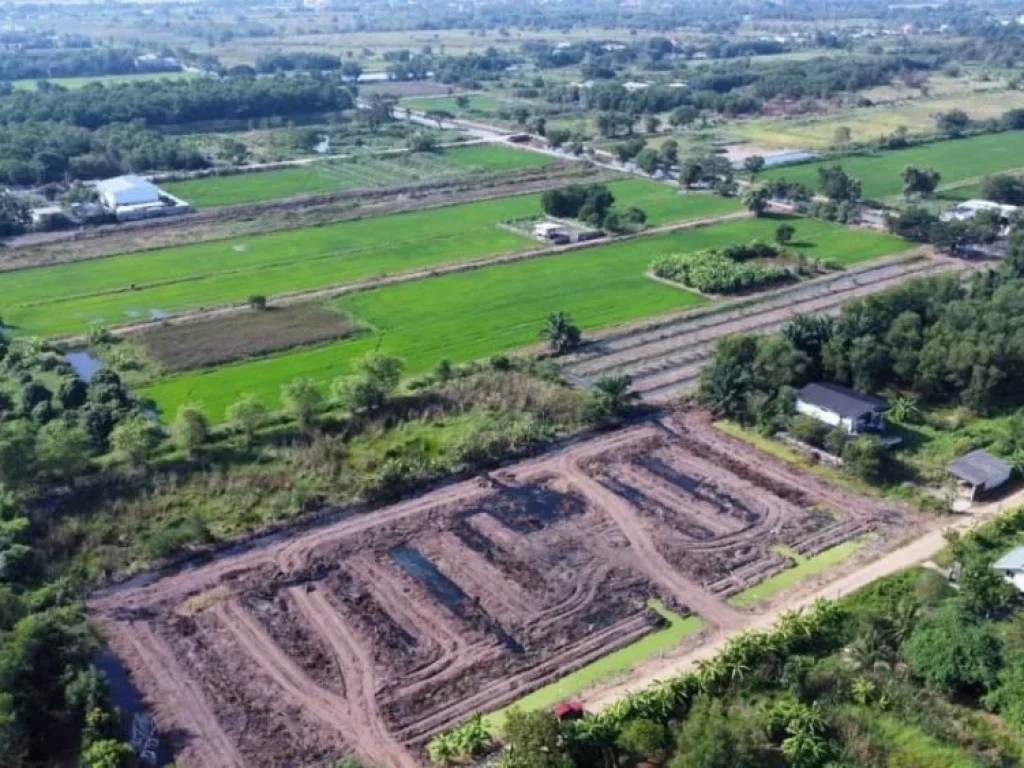 ขายที่ดินคลอง 6 คลองหลวง 35 ขนาด 1 ไร่ ซอยสุทธิพันธ์ ปทุมธานี