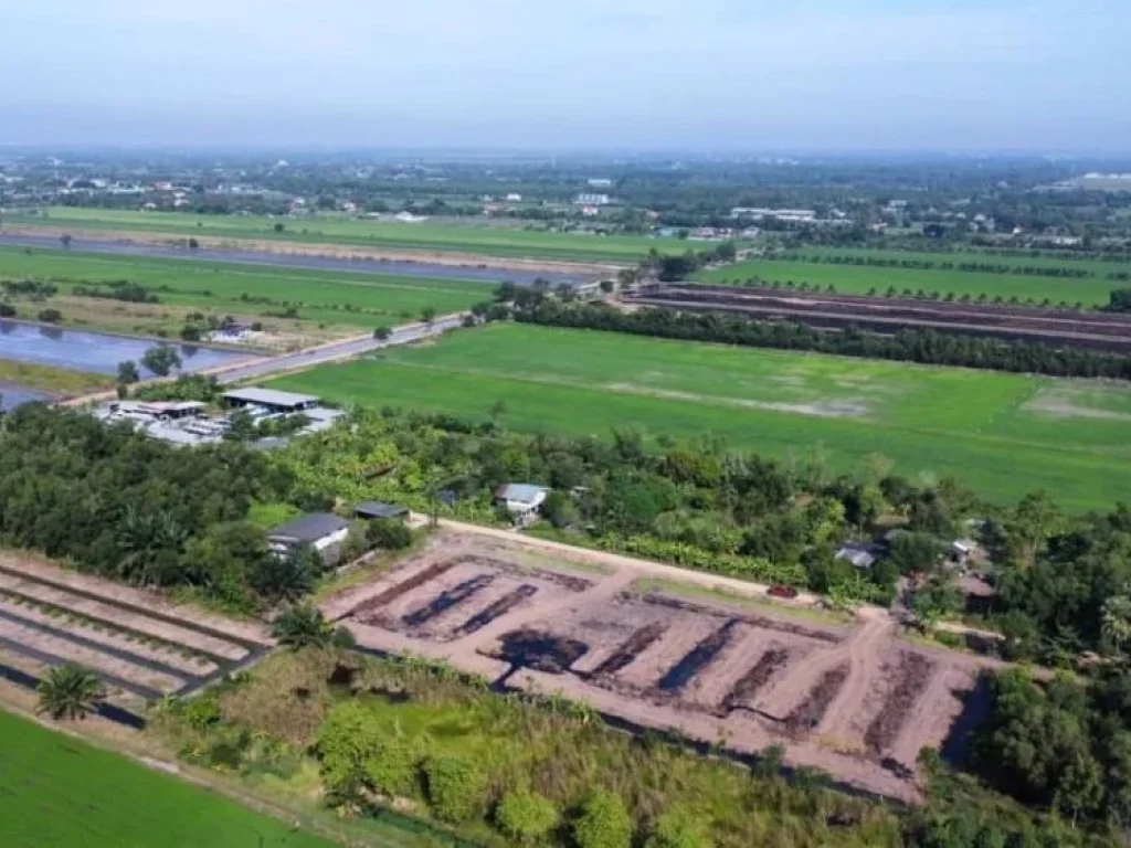 ขายที่ดินคลอง 6 คลองหลวง 35 ขนาด 1 ไร่ ซอยสุทธิพันธ์ ปทุมธานี