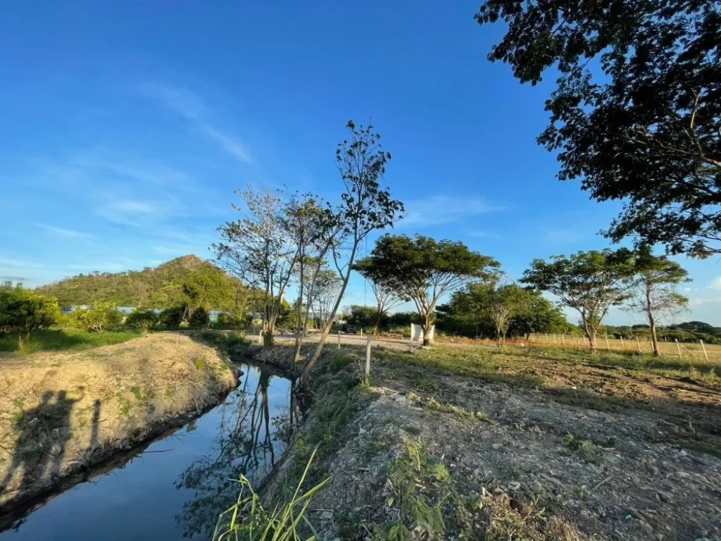 ขายด่วน 3 แปลงสุดท้าย ที่ดิน ใกล้ลำห้วยธรรมชาติ เริ่มต้นที่ 41 ตรว สระบุรี