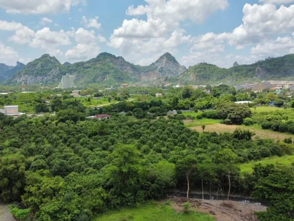 ขายด่วน 3 แปลงสุดท้าย ที่ดิน ใกล้ลำห้วยธรรมชาติ เริ่มต้นที่ 41 ตรว สระบุรี