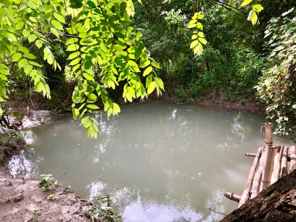 ขายด่วน 3 แปลงสุดท้าย ที่ดิน ใกล้ลำห้วยธรรมชาติ เริ่มต้นที่ 41 ตรว สระบุรี