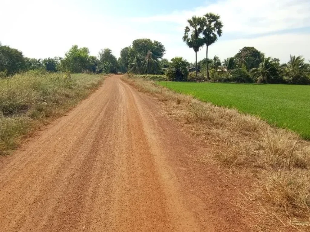 ขายที่ดิน 29 ไร่ มีไฟฟ้า ตบางยาง อบ้านสร้าง จปราจีนบุรี