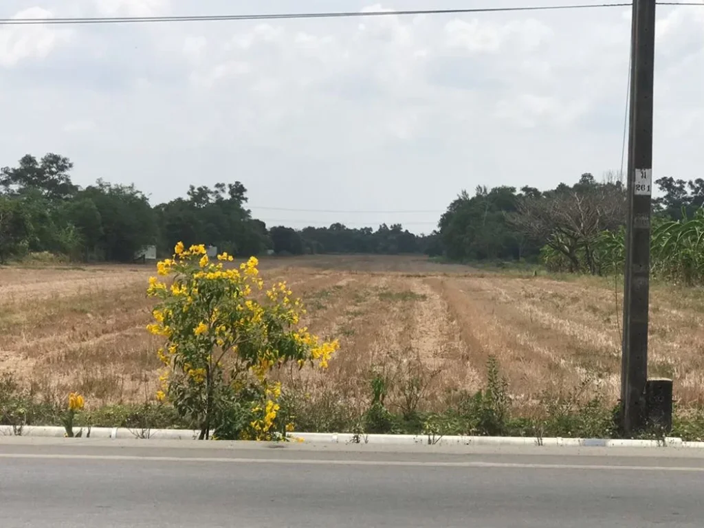 ขายที่ดิน 16ไร่ 227 ตรว ติดถนนประชาสำราญ เขตหนองจอก