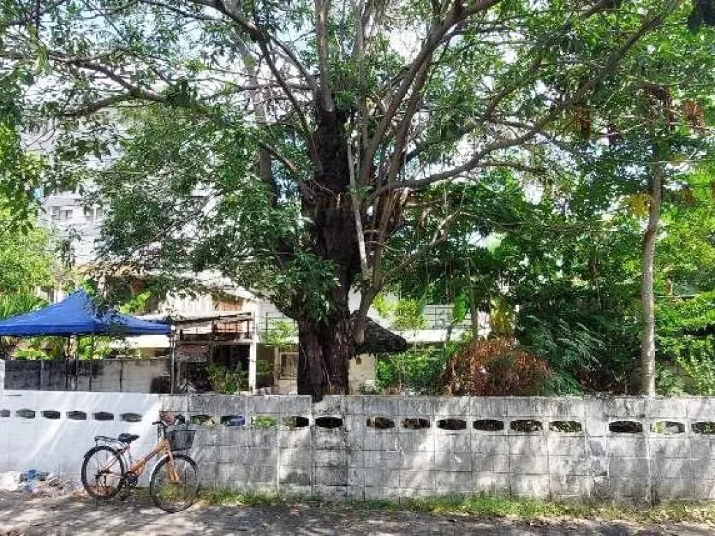 ที่ดิน รามคำแหง เดินทางสะดวกสบายใกล้สถานีรถไฟฟ้สายสีส้มและสายสีเหลือง และสถานีAir Port Link หัวหมาก