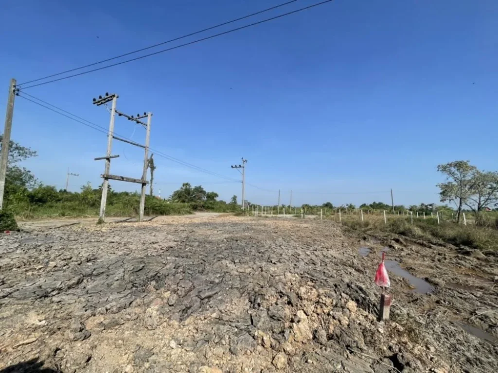 ขายที่ดินเงินผ่อน แปลงสวย 100 ตรว คลอง12 หนองเสือ ปทุมธานี