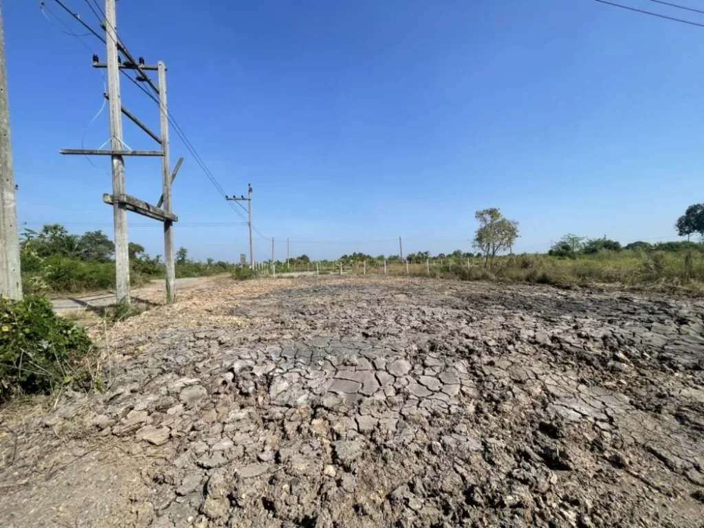 ขายที่ดินเงินผ่อน แปลงสวย 100 ตรว คลอง12 หนองเสือ ปทุมธานี