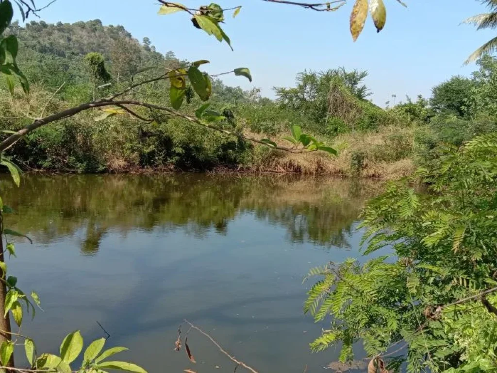 ขายที่ดิน 10 ไร่ สี่เหลี่ยมสวย ตท่ามะปราง อแก่งคอย จสระบุรี