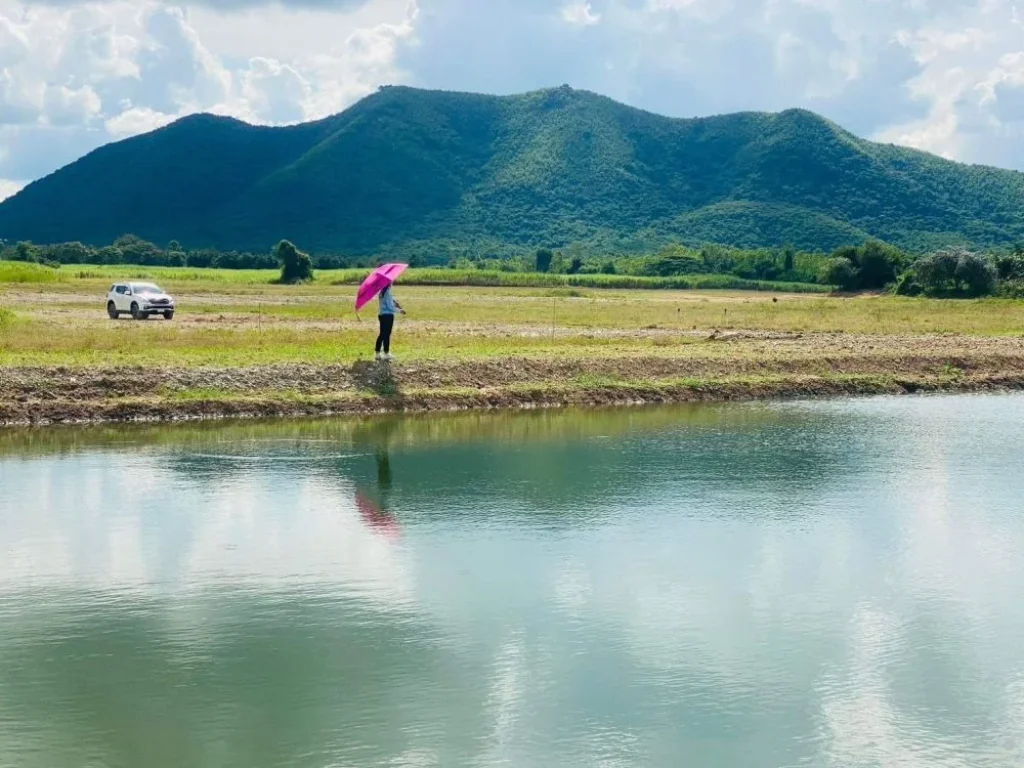 ขายที่ดินวิวเขา ล็อกล่ะ 1 ไร่ขึ้นไป เขากระปุก ท่ายาง เพชรบุรี