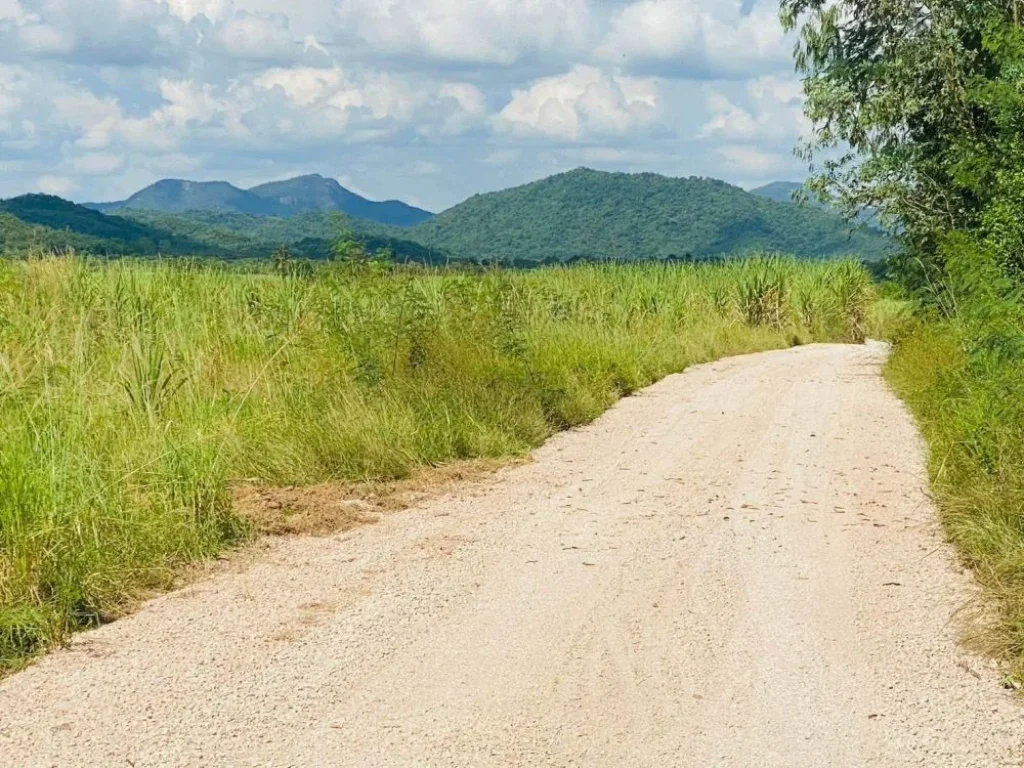 ขายที่ดินวิวเขา ล็อกล่ะ 1 ไร่ขึ้นไป เขากระปุก ท่ายาง เพชรบุรี