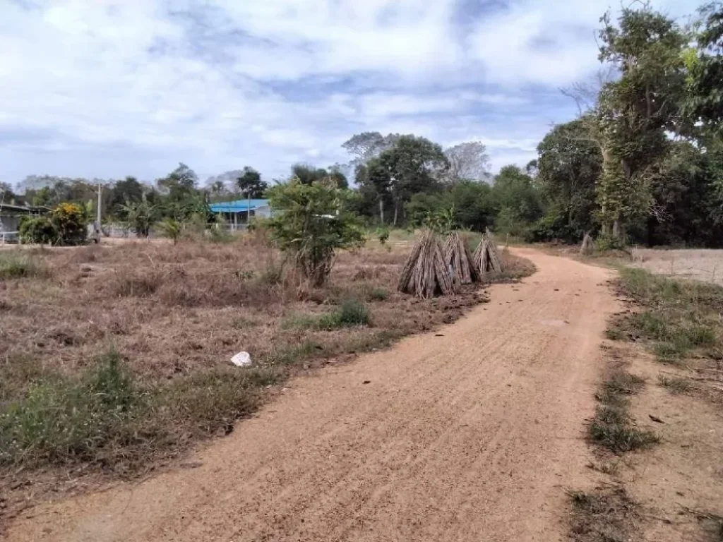 ขายที่ดินเกาะขนุน 220 ตรว ใกล้ตลาดพนมสารคาม - 26 กม อพนมสารคาม จฉะเชิงเทรา