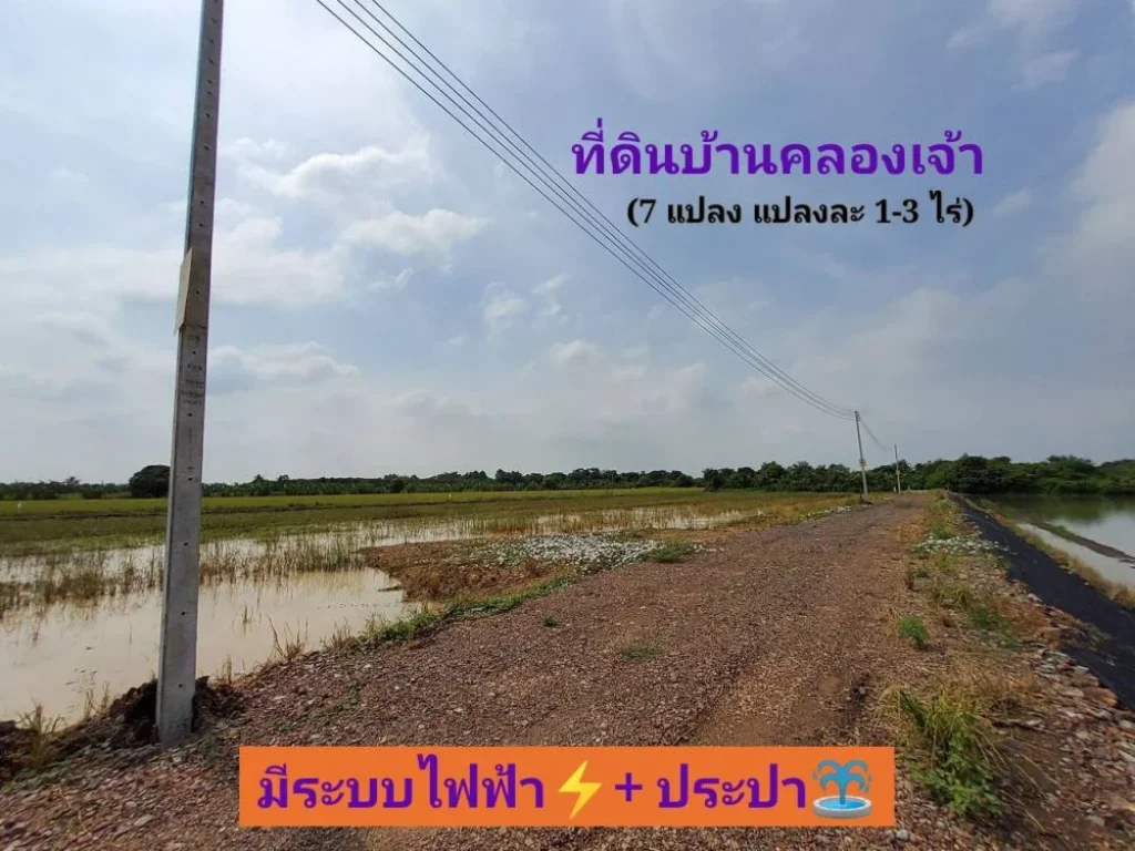 ขายที่ดินบ้านคลองเจ้า 1 ไร่ ถึง 3 ไร่ ถนน โครงการบ้านคลองเจ้า ตนราภิรมย์ อบางเลน จนครปฐม