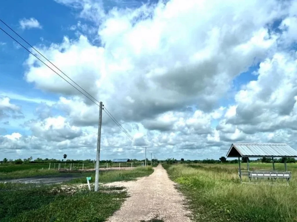 ขายที่ดิน เงินสด เงินผ่อน แนวบ้านสวนเกษตร บ้านพริก บ้านนา นครนายก