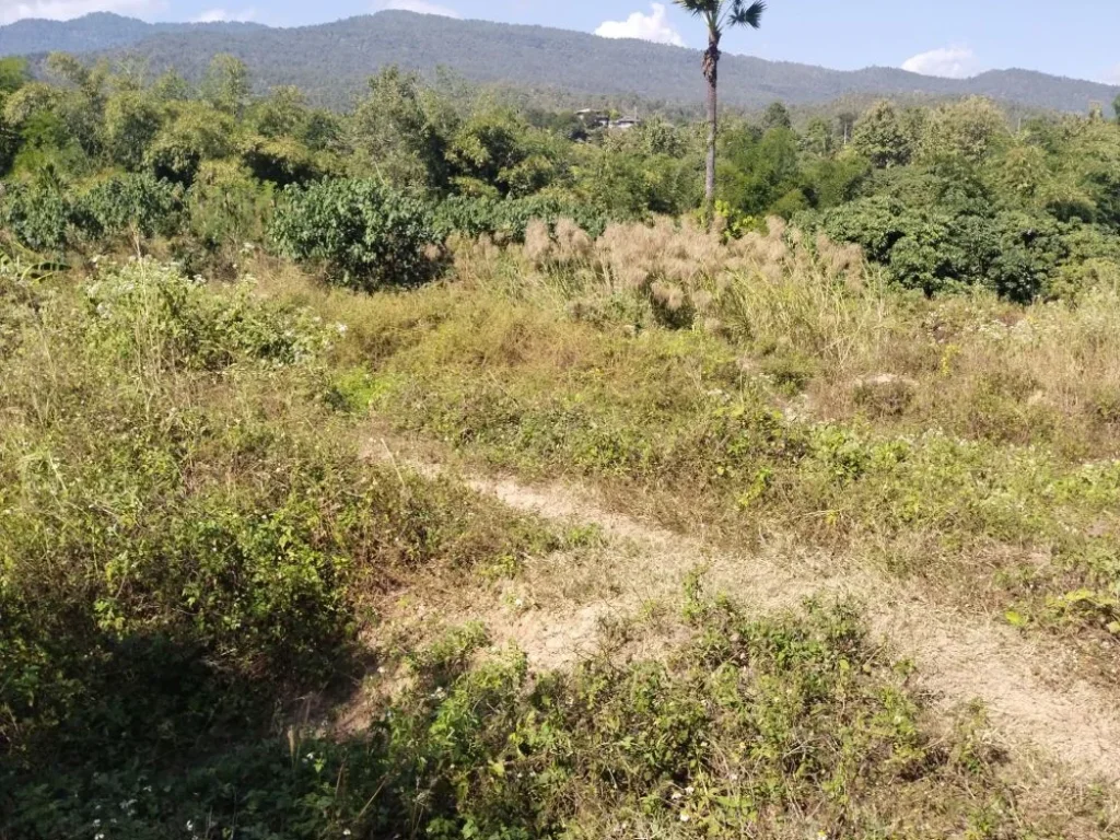 ที่ดินติดลำธาร มีโขดหินสวยงาม วิวดอยอินทนนท์ จอมทอง เชียงใหม่