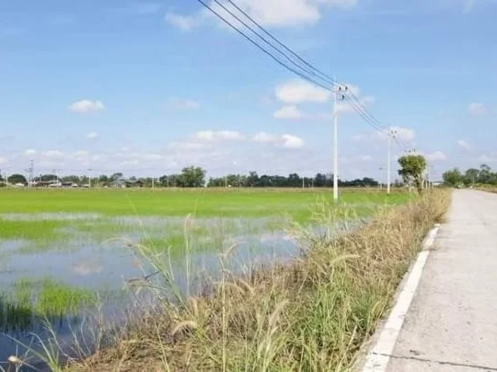 ขายด่วน ที่สวยติดถนน 3 ด้าน ดินดี น้ำท่า อุดมสมบูรณ์ บางน้ำเปรี้ยว ฉะเชิงเทรา