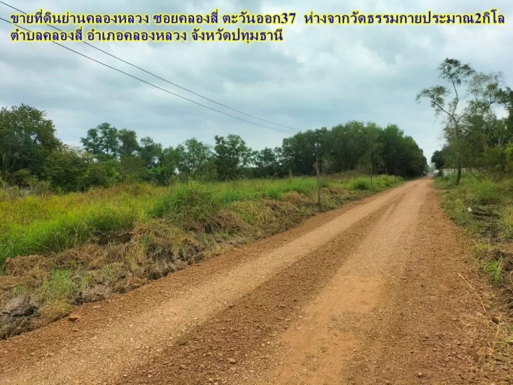 ขายที่ดินย่านคลองหลวง ซอยคลองสี่ ตะวันออก37 ตำบลคลองสี่ อำเภอคลองหลวง จังหวัดปทุมธานี ห่างจากวัดธรรมกายประมาณ2กิโล