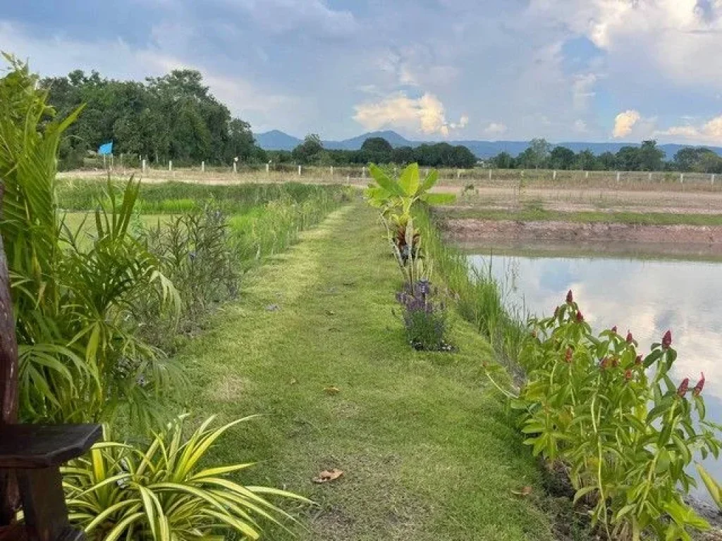 ขายที่ดินจัดสรรสดผ่อน เริ่มต้น 200 ตรว ใกล้ถนนเส้นสุวรรณศร 33 - 600 เมตร อเมืองนครนายก จนครนายก