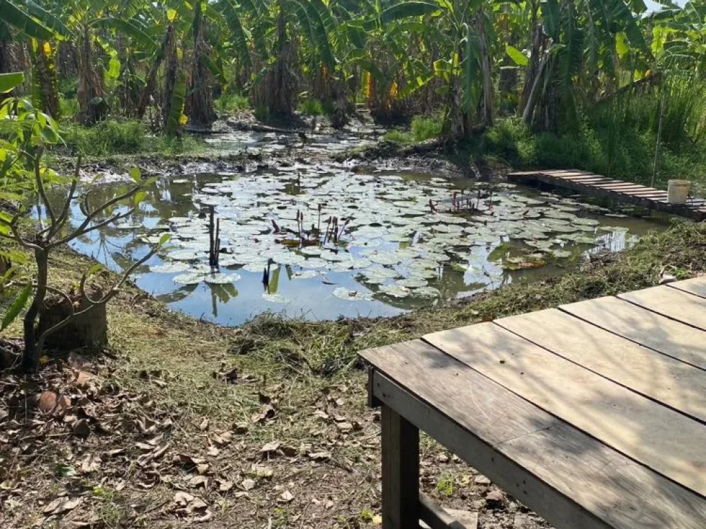 ขาย ที่ดินเปล่า ซอยสุวินทวงศ์47 ขนาด 1 ไร่ หนองจอก กรุงเทพ