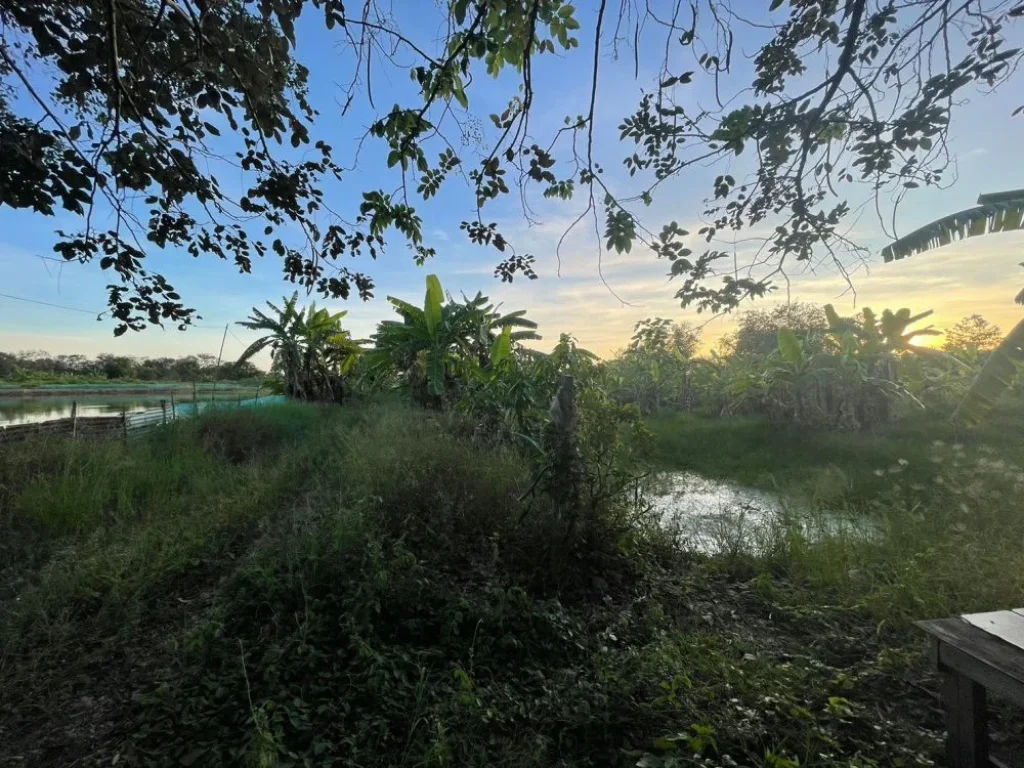 ขาย ที่ดินเปล่า ซอยสุวินทวงศ์47 ขนาด 1 ไร่ หนองจอก กรุงเทพ