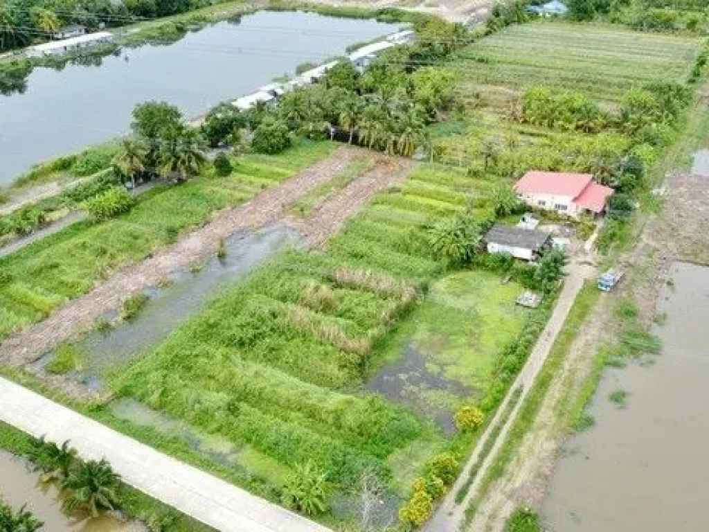 ขายที่ดินบึงบาติดถคอนกรีต 1 ไร่ คลอง 10 ใกล้อบตบึง - 1 กม อหนองเสือ จปทุมธานี