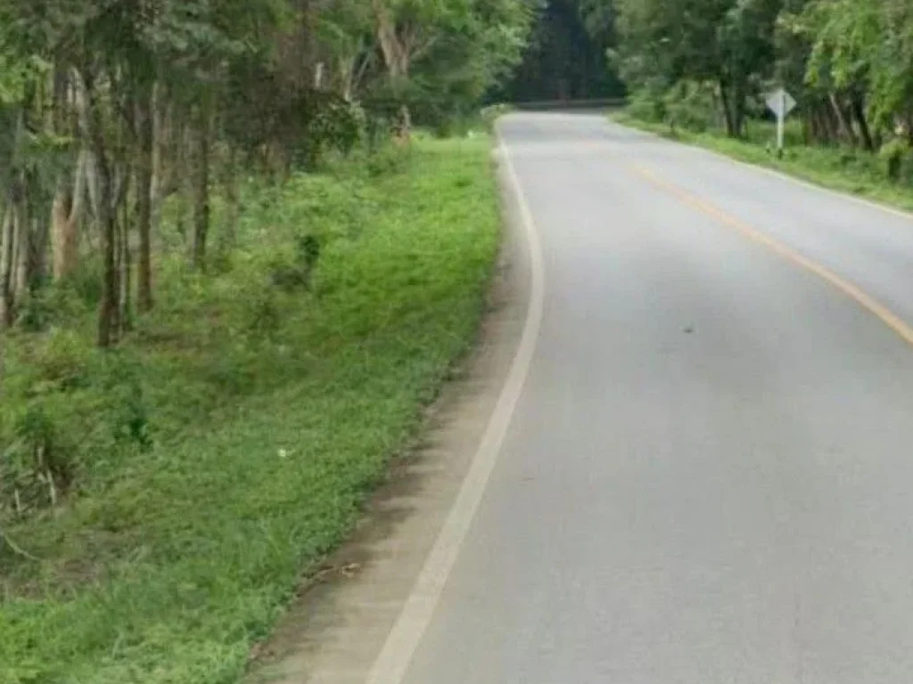 ที่ดินแปลงสวย หน้าติดถนนหลัก หลังติดน้ำน่าน อท่าปลา อุตรดิตถ์