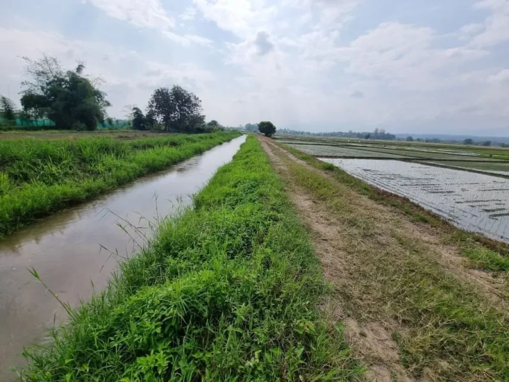 ขายที่ดินแม่ริม ที่นาติดคลองชลประทาน ใกล้มราชภัฏแม่ริม เนื้อที่ 2-1-17 ไร่