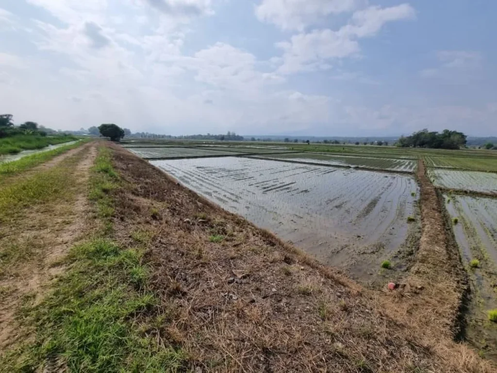 ขายที่ดินแม่ริม ที่นาติดคลองชลประทาน ใกล้มราชภัฏแม่ริม เนื้อที่ 2-1-17 ไร่