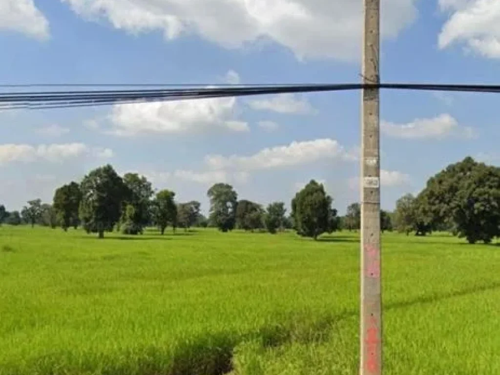 ขายที่ดิน 16 ไร่ ที่ดินติดริมถนน ออุทุมพรพิศัย จศรีสะเกษ