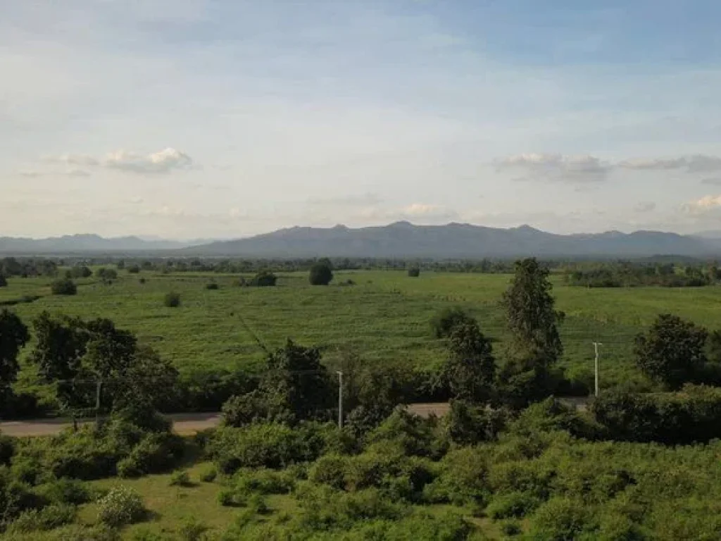 ขาย ที่ดินกาญจนาบุรี วิวภูเขา ติดถนนลาดหญ้า-บ่อพลอย ใกล้ค่ายสุรสีห์ ห่างจากศากลางเพียง 25 กม ตหนองกุ่ม อบ่อพลอย กาญจนบุรี