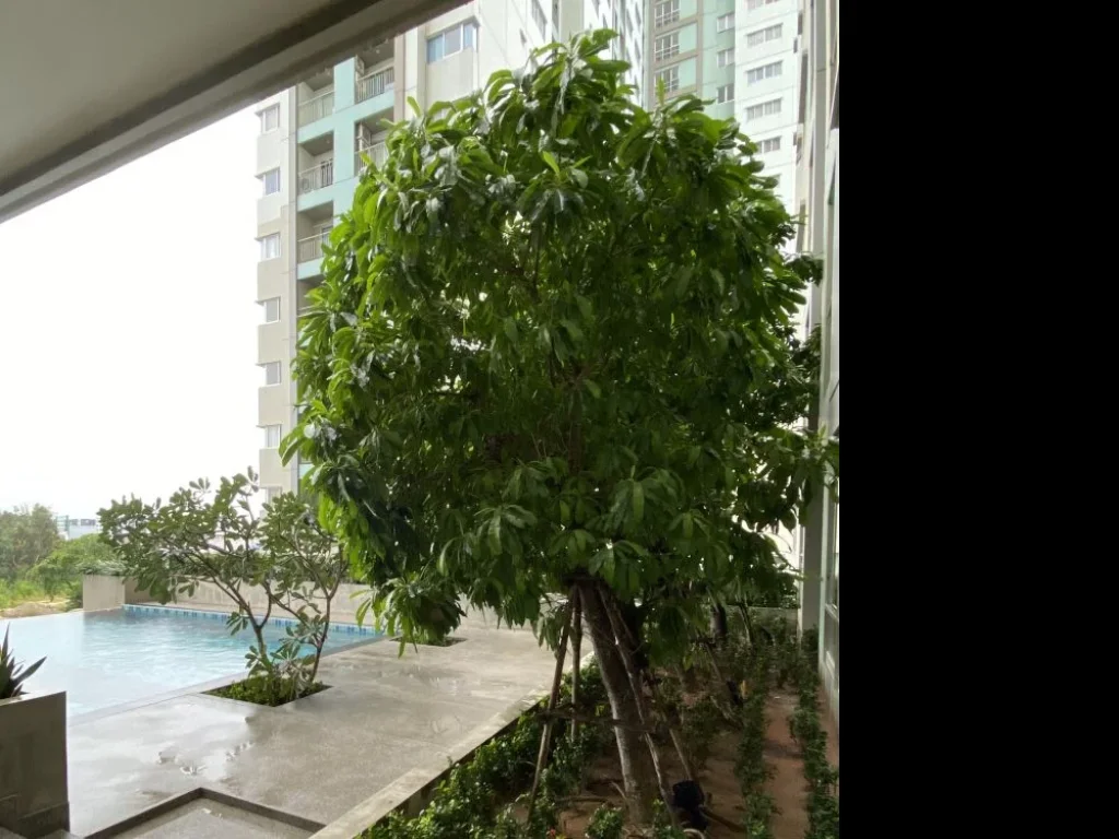 ขายด่วน Lumpini Condo Town North Pattaya - Sukhumvit ลุมพินี คอนโดทาวน์ พัทยาเหนือ - สุขุมวิท