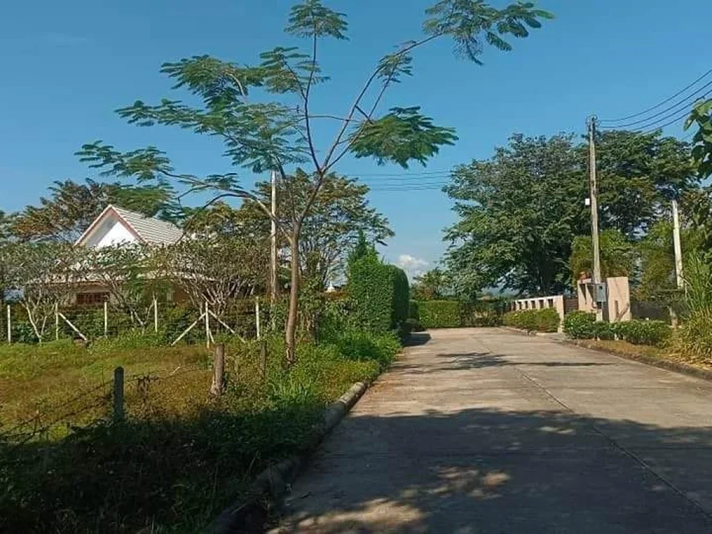 ขายที่ดินบ้านยุหว่าสันป่าตองห่างถนนหลักเพียง 500เมตรพร้อมโอน