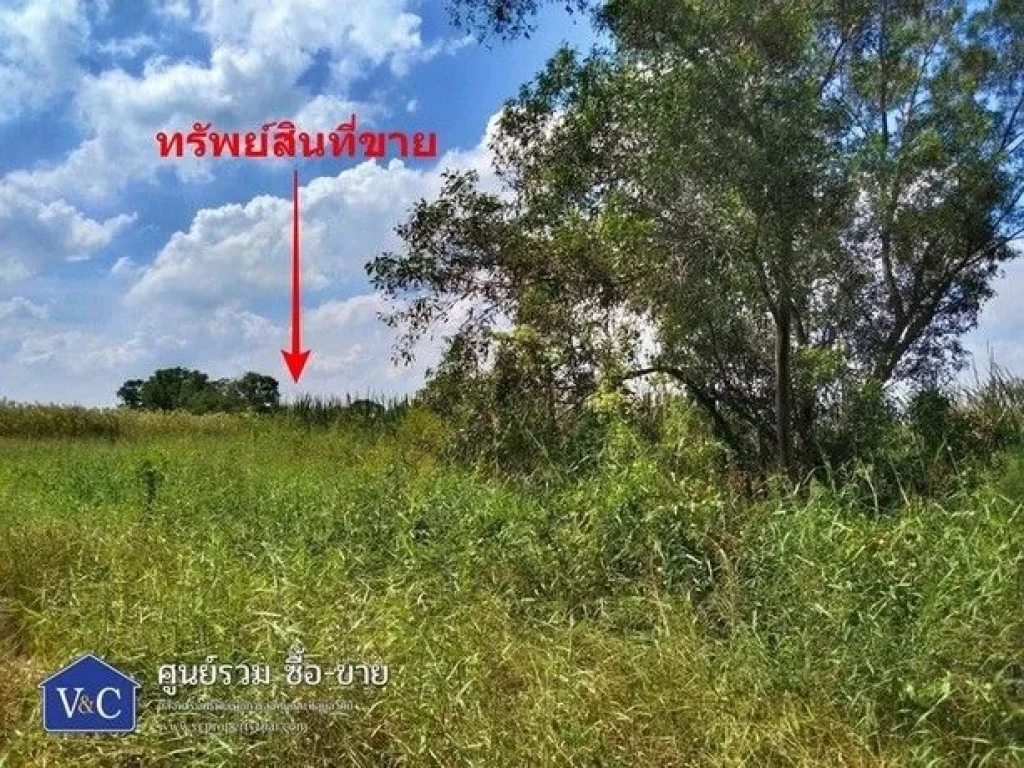 ขาย ที่ดินเปล่า คลอง 5 เนื้อที่ 3-3-90 ไร่ อคลองหลวง จปทุมธานี