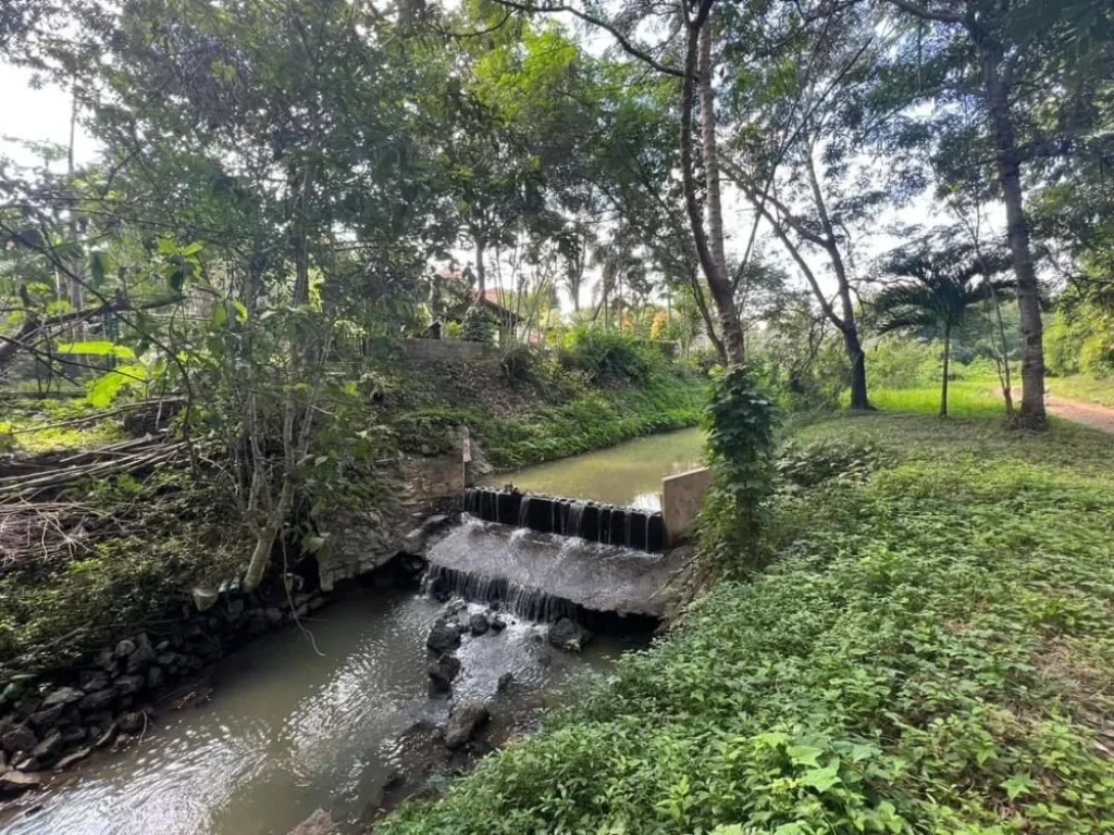 ขายที่ดินเนินดอยติดลำธารน้ำบ้านปงหางดงโฉนดพร้อมโอน