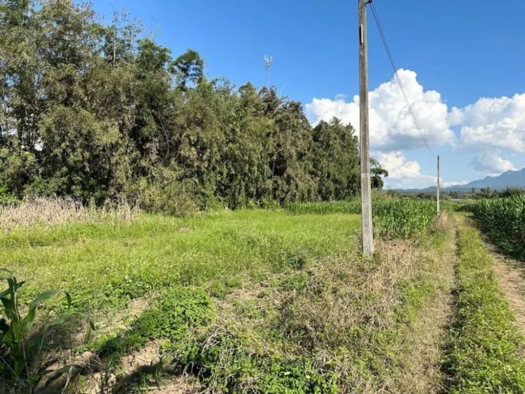 ขายที่ดิน 16-3-738 ไร่ ติดถนนหลักเชียงใหม่-ฝาง และติดลำน้ำฝาง ใกล้ Hinoki Land อไชยปราการ เชียงใหม่