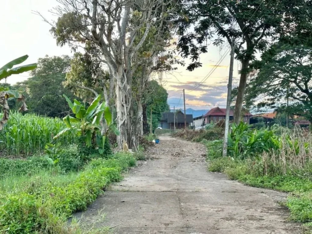 ขายที่ดิน 16-3-738 ไร่ ติดถนนหลักเชียงใหม่-ฝาง และติดลำน้ำฝาง ใกล้ Hinoki Land อไชยปราการ เชียงใหม่