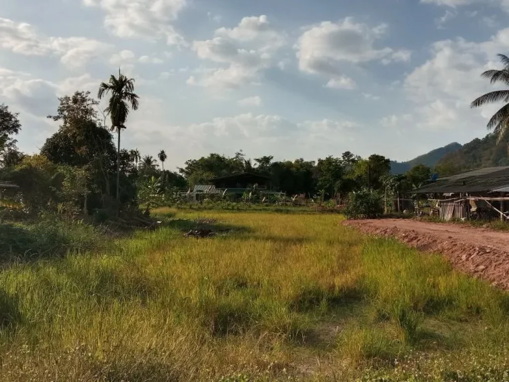 ขายที่ดิน เนื้อที่ 230 ตรว มองเห็นวิวเขา ติดถนนคอนกรีต ถมให้ฟรี