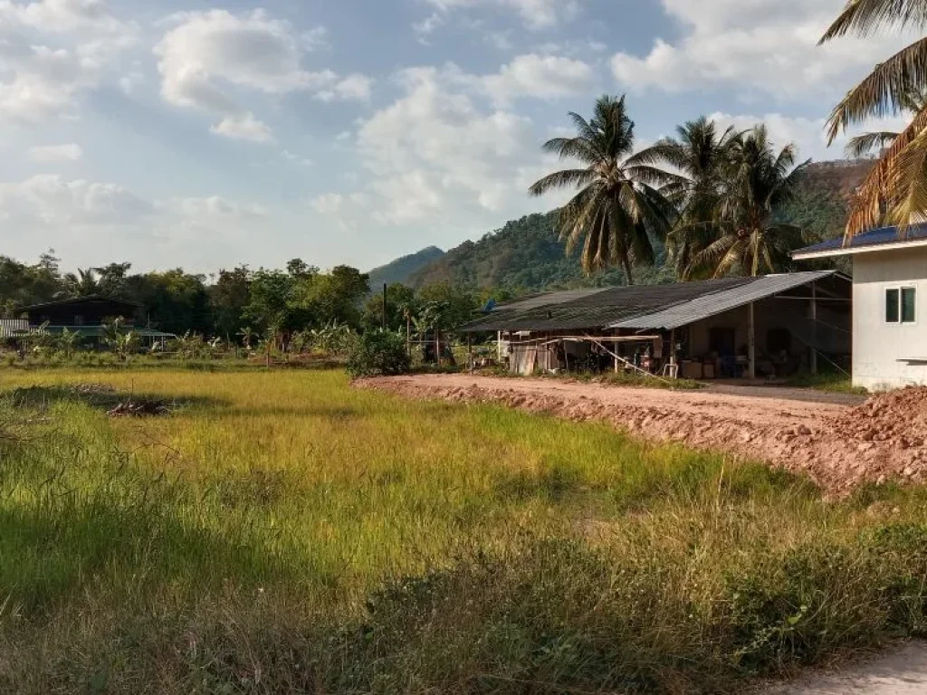 ขายที่ดิน เนื้อที่ 230 ตรว มองเห็นวิวเขา ติดถนนคอนกรีต ถมให้ฟรี