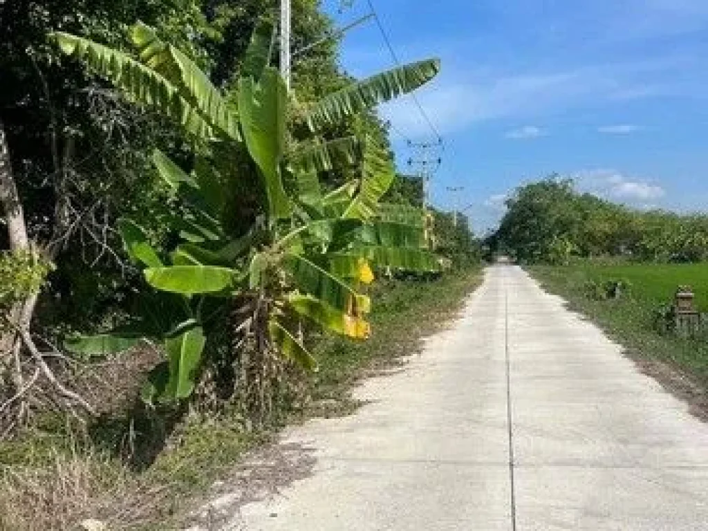 สุดคุ้มที่ดินเพื่อการลงทุน 4 ไร่ 2 งาน 75 ตรวา คลอง 10 หนองเสือ ปทุมธานี