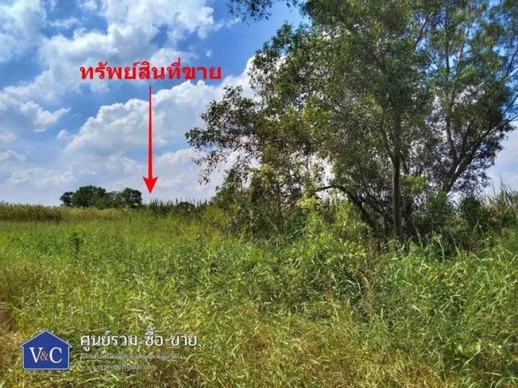 ที่ดินเปล่าเลียบคลอง 5 พื้นที่ 3-3-90 ไร่ ถเลียบคลอง 5 คลองหลวง ปทุมธานี