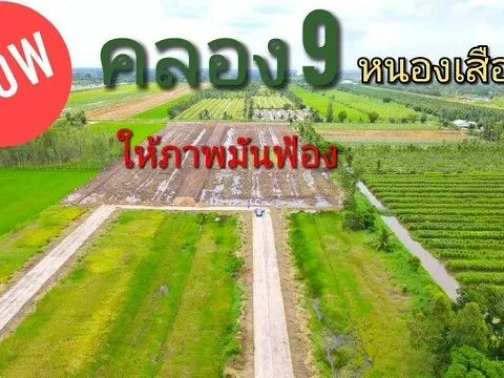 ที่ดินแบ่งขายคลองเก้า คลอง9หนองเสือตะวันตก ติดถนนเลียบคลองแอน ทะลุคลอง8ได้