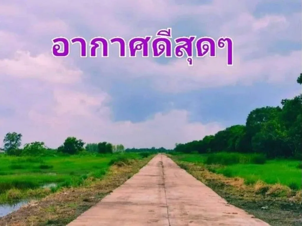 ที่ดินแบ่งขายคลองเก้า คลอง9หนองเสือตะวันตก ติดถนนเลียบคลองแอน ทะลุคลอง8ได้