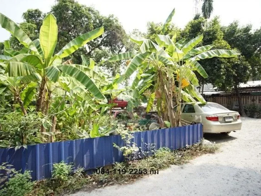 ที่ดินซอยวัดกำแพง ถพิบูรณ์สงคราม วงศ์สว่าง นนทบุรี