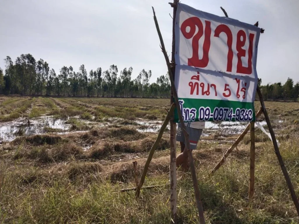 ขายที่นาสวย 5 ไร่ เยี้องศูนย์วิจัยข้าวร้อยเอ็ด ทุ่งกุลา สุวรรณภูมิ ร้อยเอ็ด