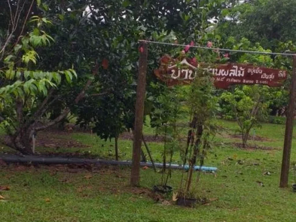 ที่ดินสวนทุเรียนระยอง สวนผลไม้ผสม พร้อมบ้านพักอาศัย ที่ดินวิวเขา ติดทาง น้ำไฟฟ้าเข้าถึงแล้ว ใกล้สถานีอนามัยบ้านเขาหินแท่น อแกลง