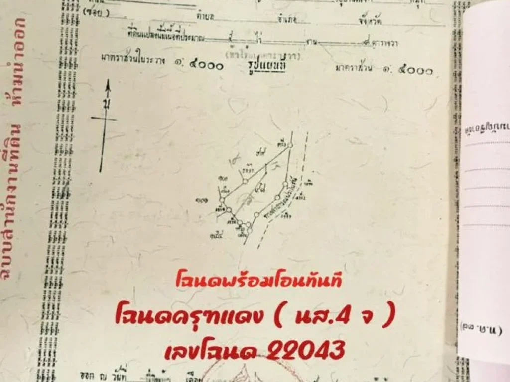 ที่ดินสวย วิวภูเขา ติดถนนปูน อห้างฉัตร ขายถูกกว่าราคาประเมิณ