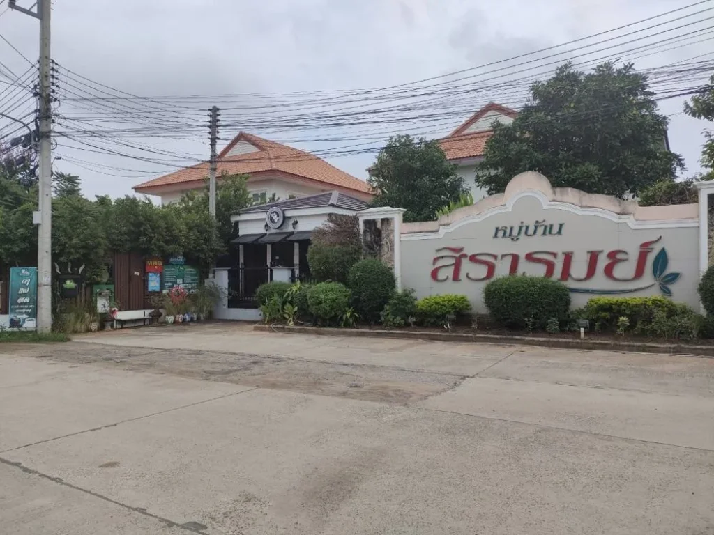 ขายที่ดินเปล่า ทำเลทอง เนื้อที่ 100 ตรว เหมาะสำหรับปลูกบ้านพักอาศัยหรือเปิดร้านขายของ