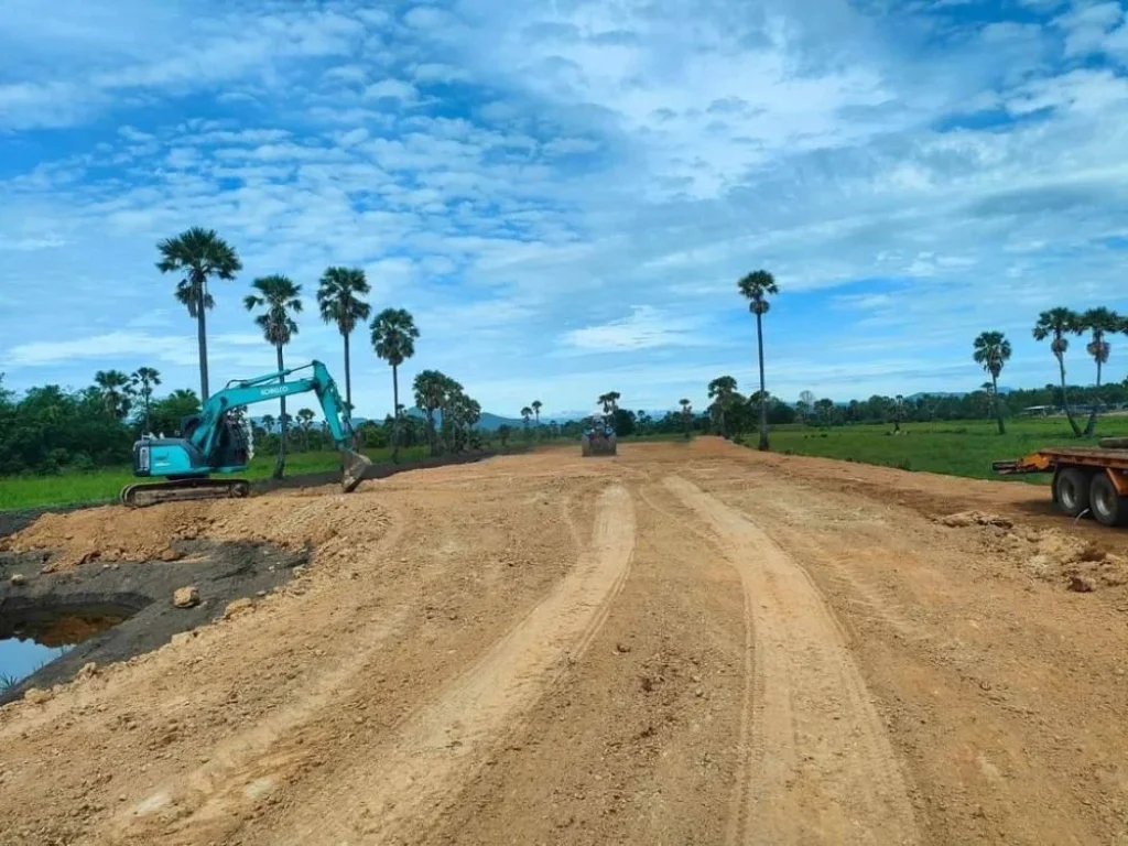 ขายที่ดิน 8 ไร่ บรรยากาศทุ่งนา ติดคลองน้ำ Mong du na Phetchaburi มองดูนา เพชรบุรี 