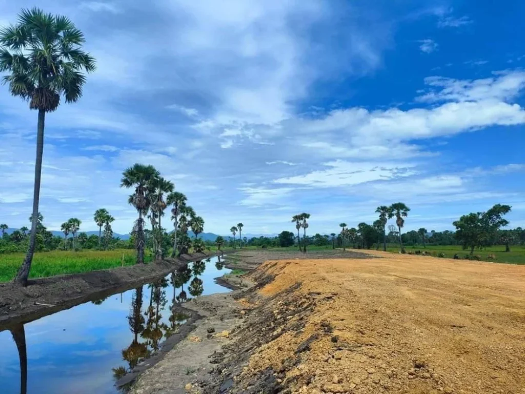 ขายที่ดิน 8 ไร่ บรรยากาศทุ่งนา ติดคลองน้ำ Mong du na Phetchaburi มองดูนา เพชรบุรี 